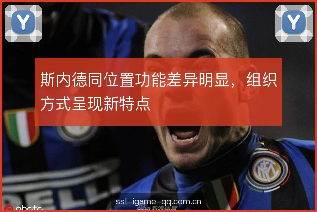 斯内德同位置功能差异明显，组织方式呈现新特点